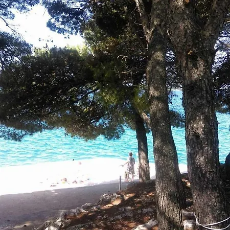 Apartament Valerija *