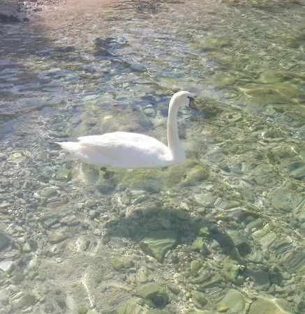 Apartmán Valerija *