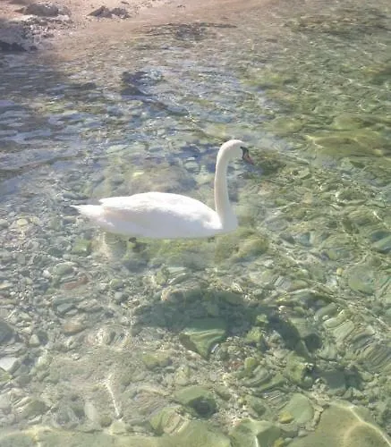 Apartament Valerija *