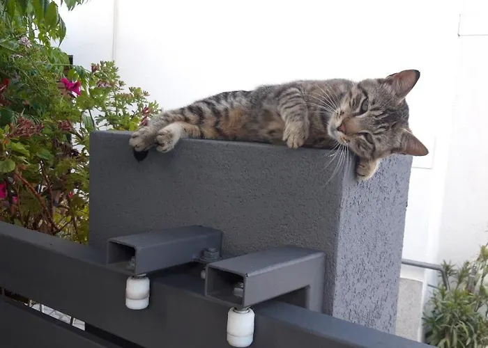 Apartamento Valerija